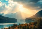 ai image generator​